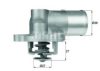 FIAT 60559862 Thermostat, coolant